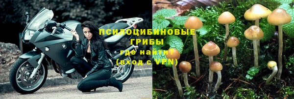 твердый Медногорск