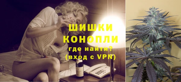 дмт Щучье