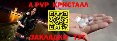 прущие грибы Абакан
