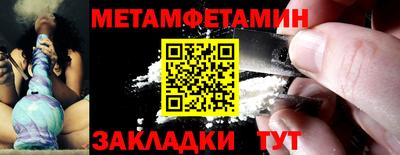 прущие грибы Абакан